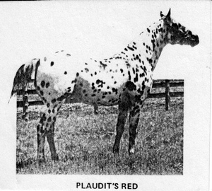 plauditsred