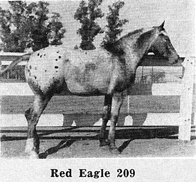 redeaglef209k2