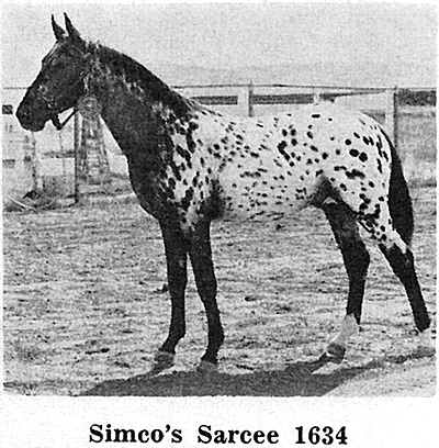 simcoessarceef1634