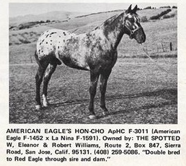 americaneagleshonchof3011