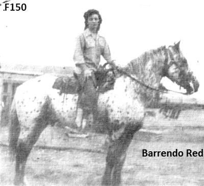 barrendoredf150a