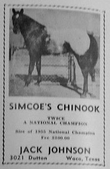 simcoechinookad