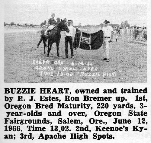 buzzieheart