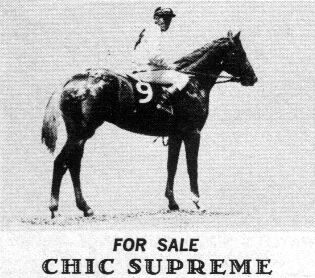 chicsupreme