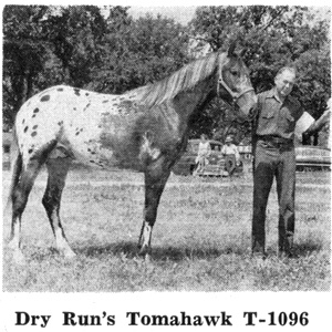 dryrunstomahawk