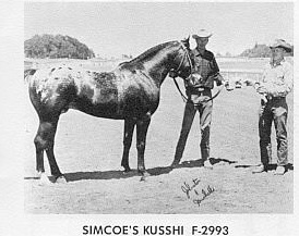 simcoeskusshi