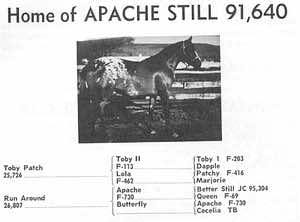 apachestill