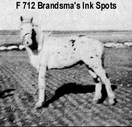 brandsmasinkspots