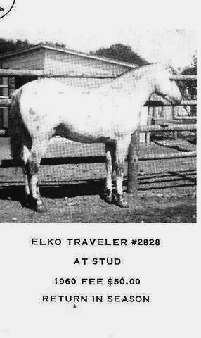 elkotraveler