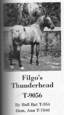 filgosthunderhead