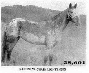 kaniksuschainlightning