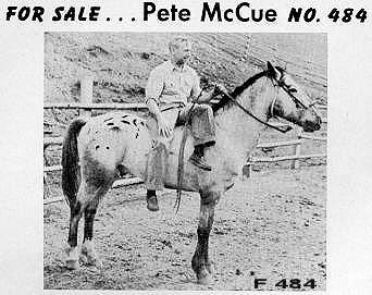 petemccuef484