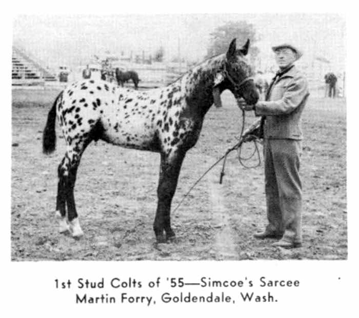 simcoessareeasfoal