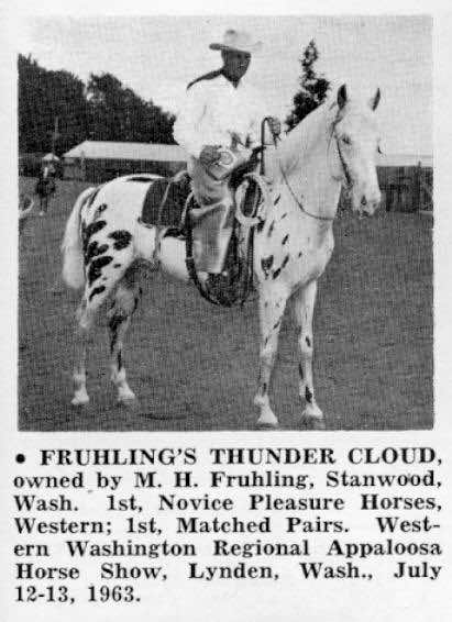 fruhlingsthundercloud