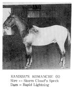 kaniksuskomanchie