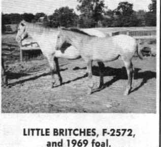 littlebritches2