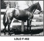 lolo