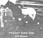 patchytopatoo