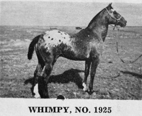 whimpyf1925