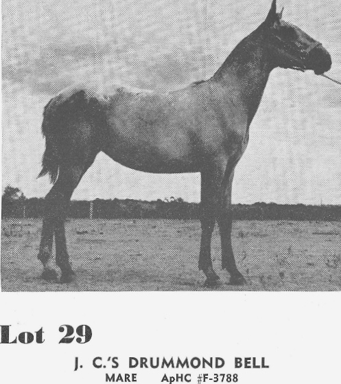 JCÕs Drummond Bell