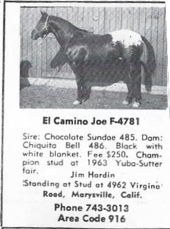 elcaminojoef4781