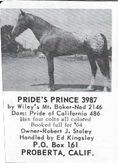 prideprincef3987