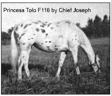 princesstolof116