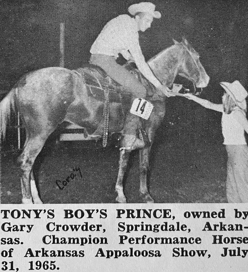 tonys boys prince