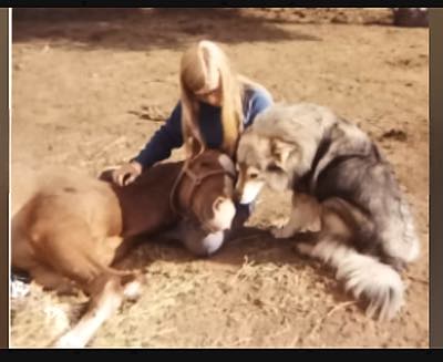 johnnysnowcapandsuepuppy