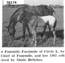 fourmilefacsimile