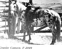 granitecanyon