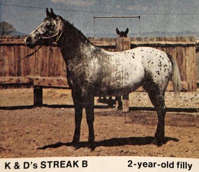 K and D's streak b