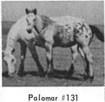 palomar
