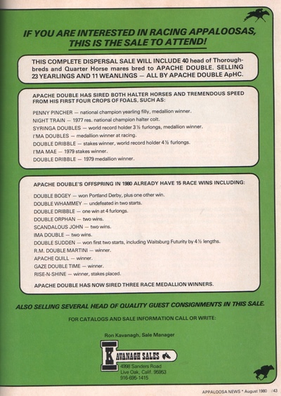 anaug80p43pchedouble