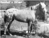 randallssilver