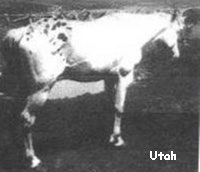 utah