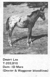 desertlea