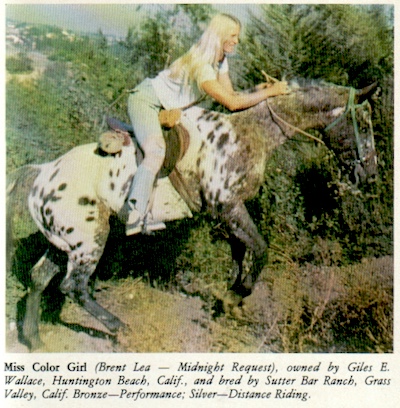 misscolorgirl