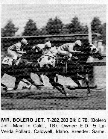 mrbolerojet2