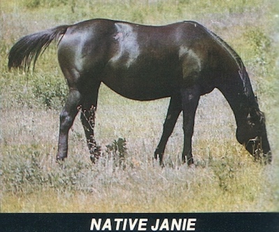 nativejanie