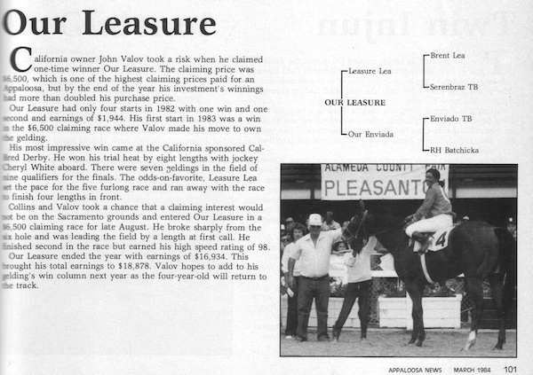 ourleasurearticle