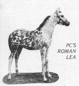 pcsromanlea