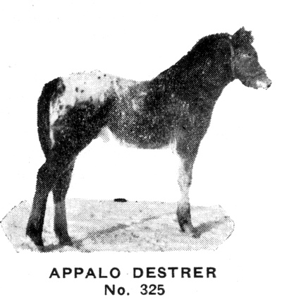 appalodestrer325