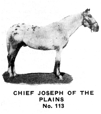 chiefjoseph113