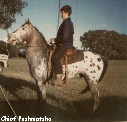 chiefpushmataha