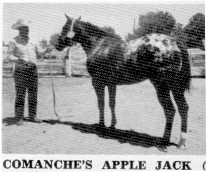 comanchesapplejack