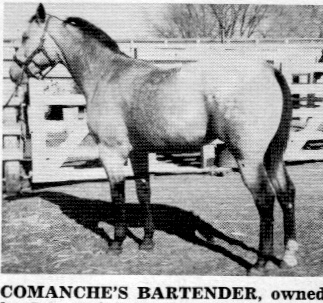 comanchesbartender