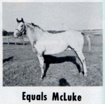 equalsmcluke