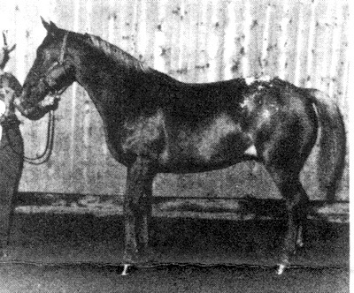 coultrip'srustyeagle1366-o