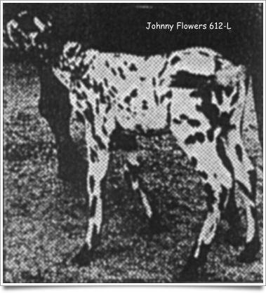 johnnyflowers612